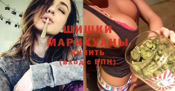 PSILOCYBIN Балабаново
