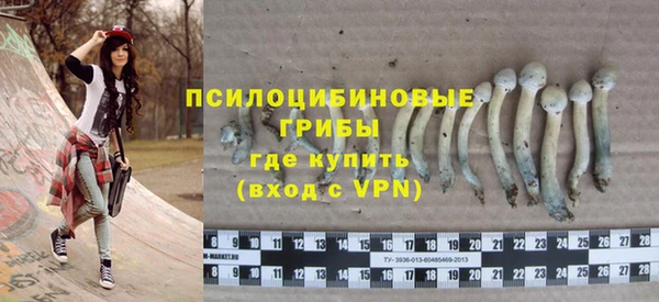 амф Покачи