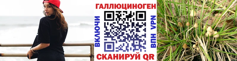 Галлюциногенные грибы Magic Shrooms  Сунжа 